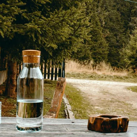 Laptici - Statiunea Pestera-padina, Bucegi Sinaia