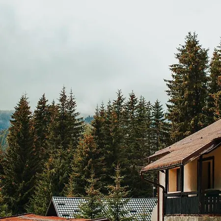 Laptici - Statiunea Pestera-padina, Bucegi *