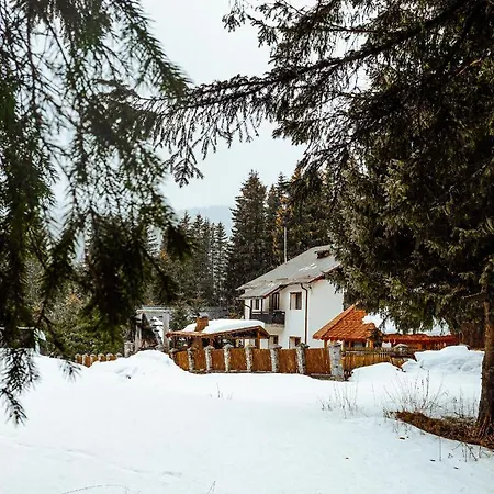 Lodge Laptici - Statiunea Pestera-padina, Bucegi *
