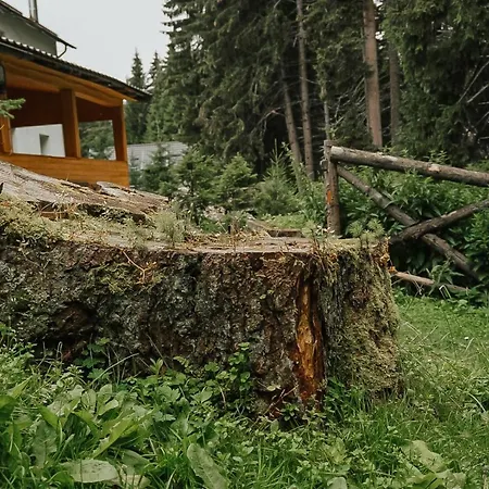 Laptici - Statiunea Pestera-padina, Bucegi Sinaia