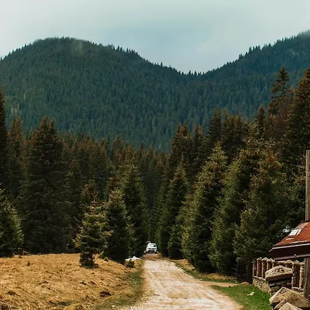 Lodge Laptici - Statiunea Pestera-padina, Bucegi