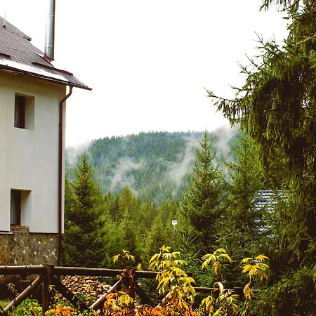 Laptici - Statiunea Pestera-padina, Bucegi